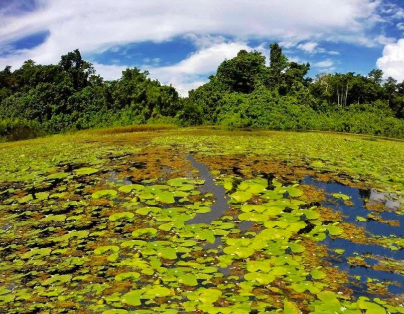 Vatthe Conservation Area, Near Luganville, Espiritu Santo, Vanuatu